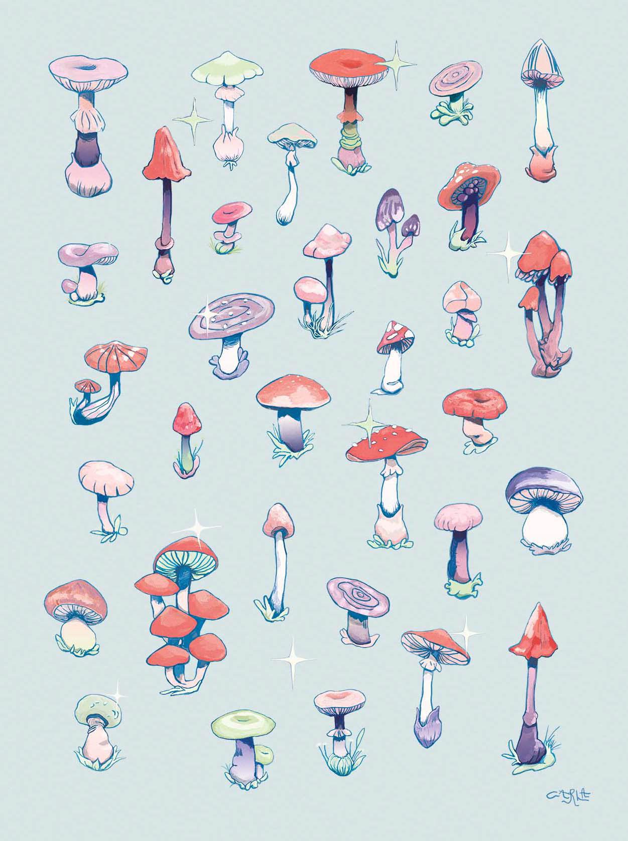 Magic Mushroom Fun Time